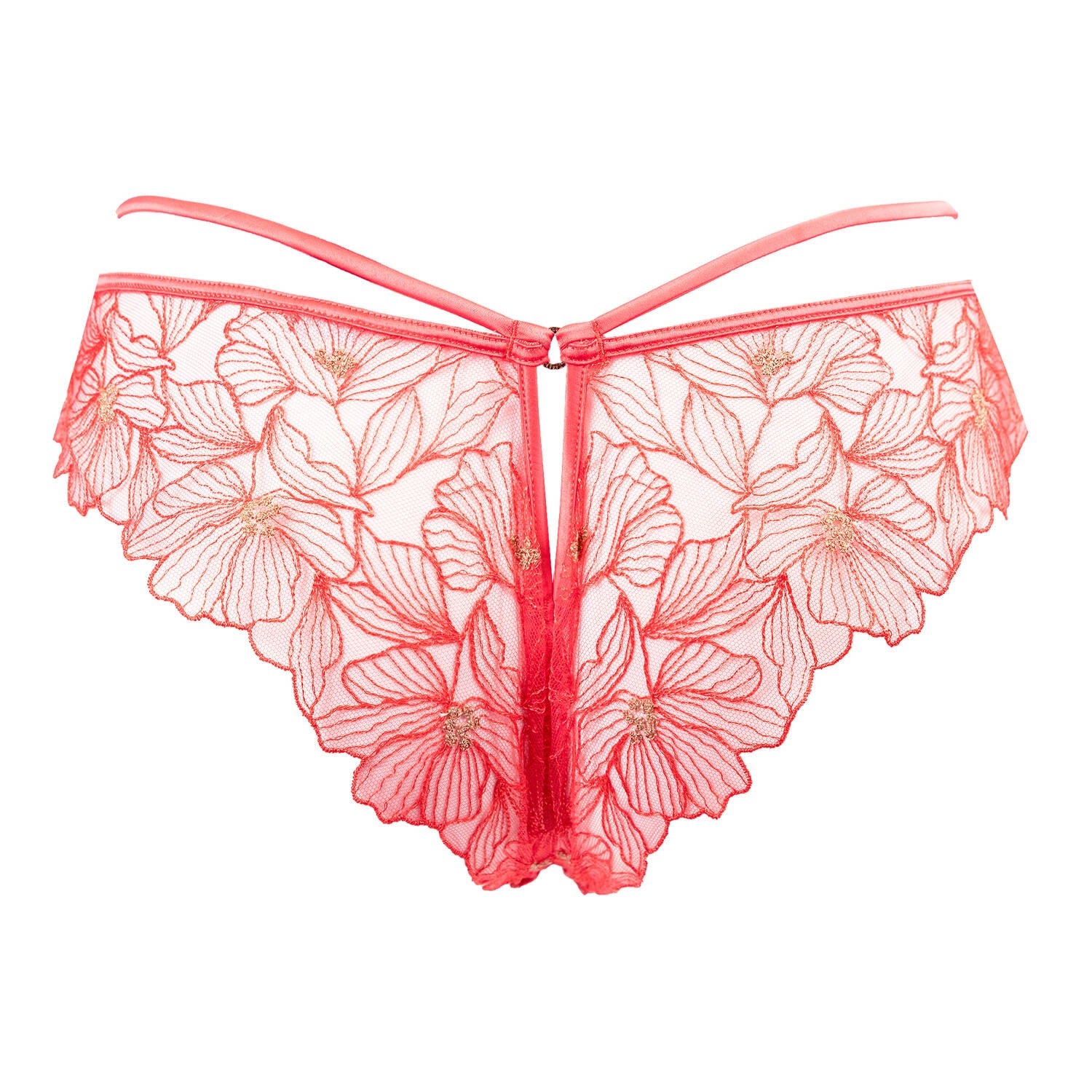 Shikkosa-Honey Brief