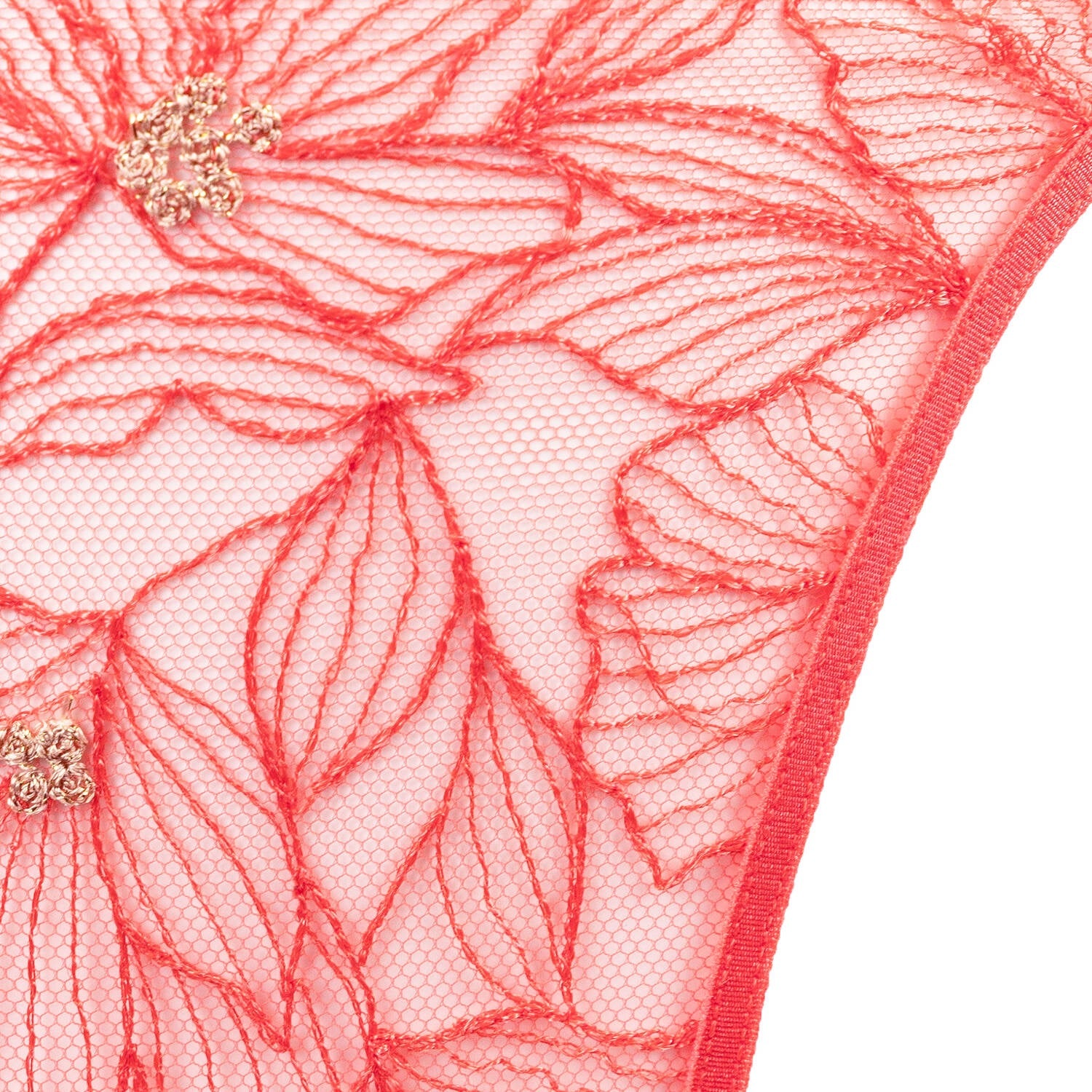 Shikkosa-Honey Brief